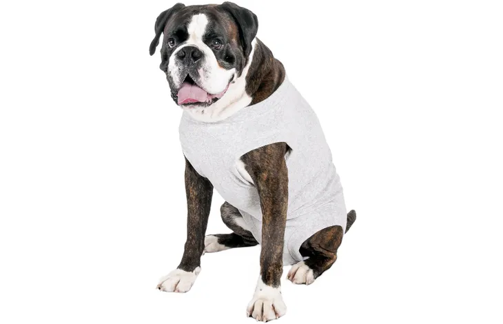 Grijze veiligheidsbody voor honden, bedekt romp en benen