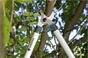 Takkenschaar EasyCut 680 B snijdt door bladeren en takken