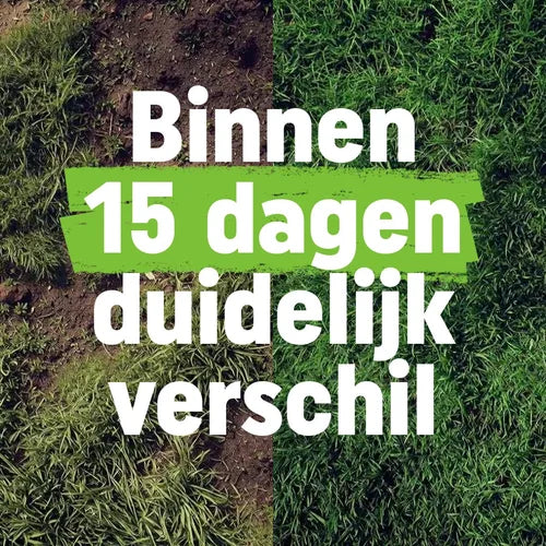 Pokon - Gazon Revolutie 1Kg voor 20m2