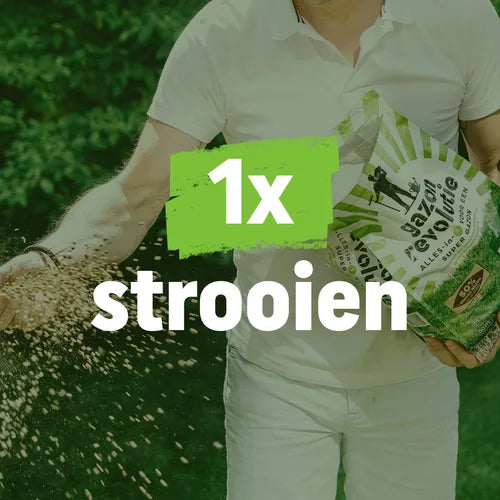 Pokon - Gazon Revolutie 1Kg voor 20m2