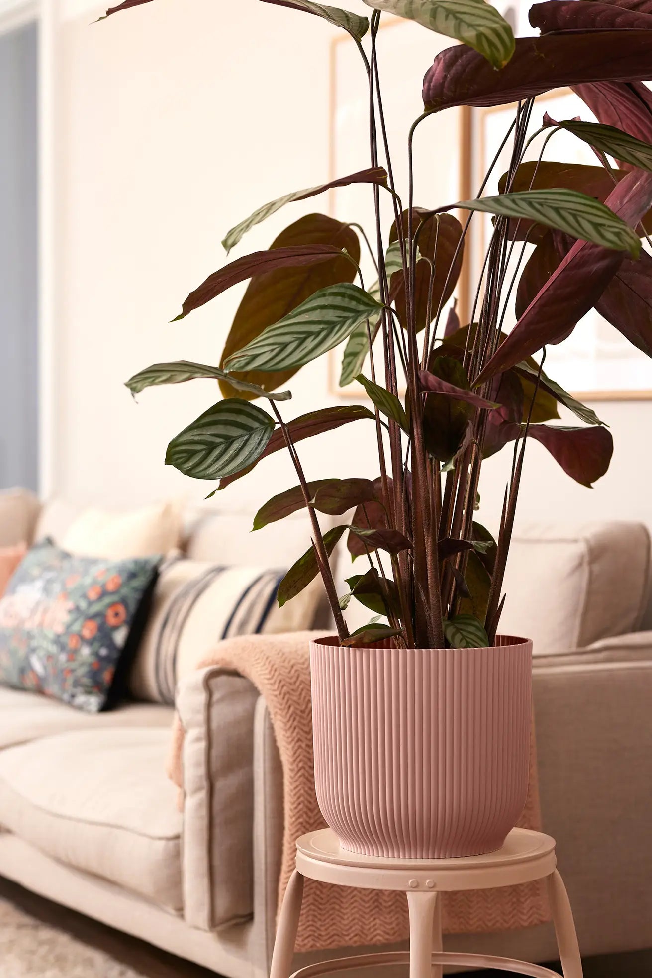 Elho - vibes fold rond 30cm delicate pink