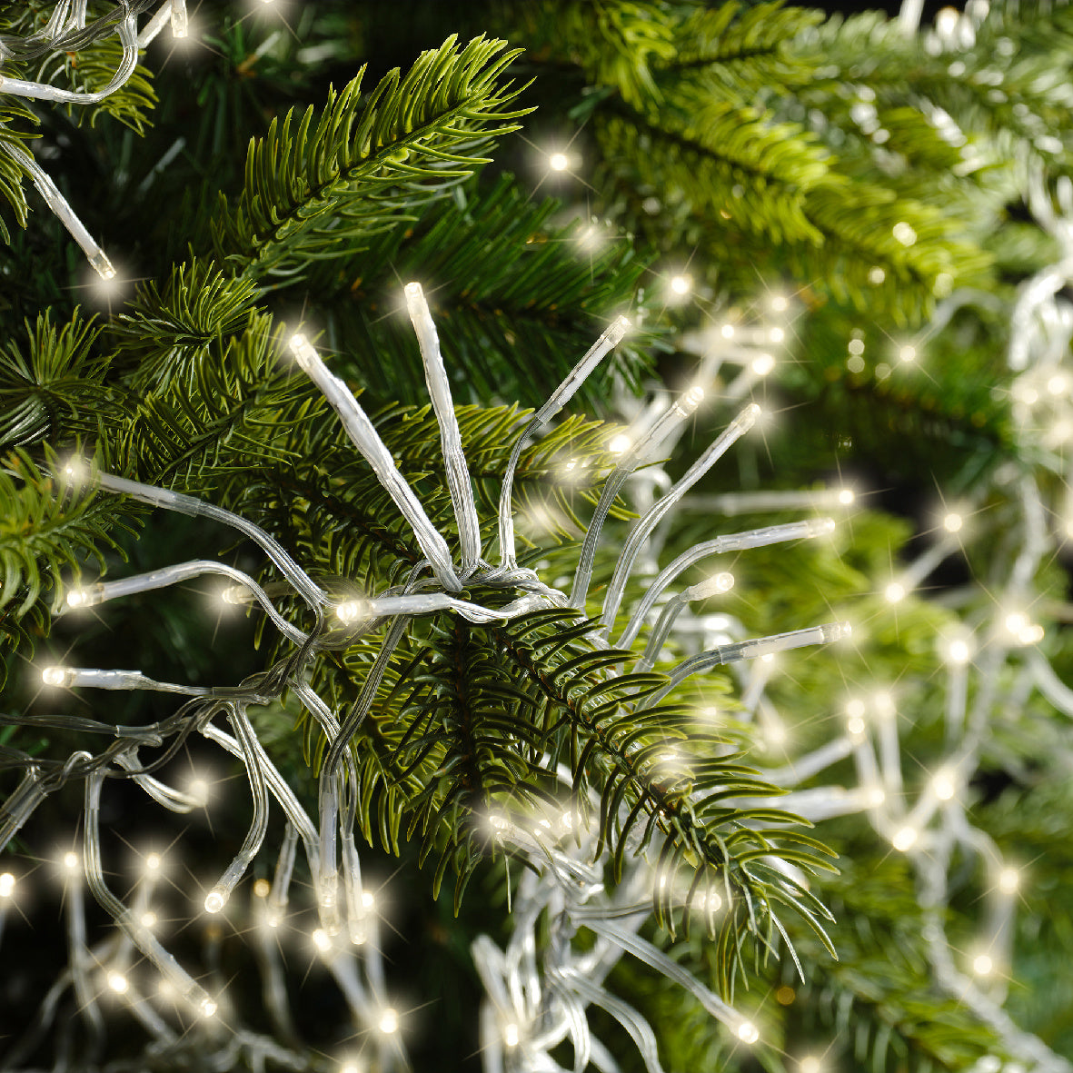 LED-lichtcluster met warmwitte lampjes tussen naalden van een kerstboom
