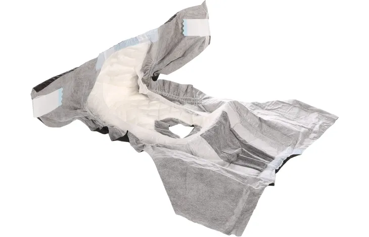 Hondenluier voor teef, XL: grijze wegwerpluier met openingen voor pootjes