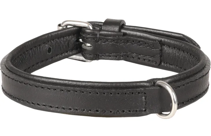 Gevoerde zwarte halsband met metalen D-ring en verstelband, zichtbaar stiksels