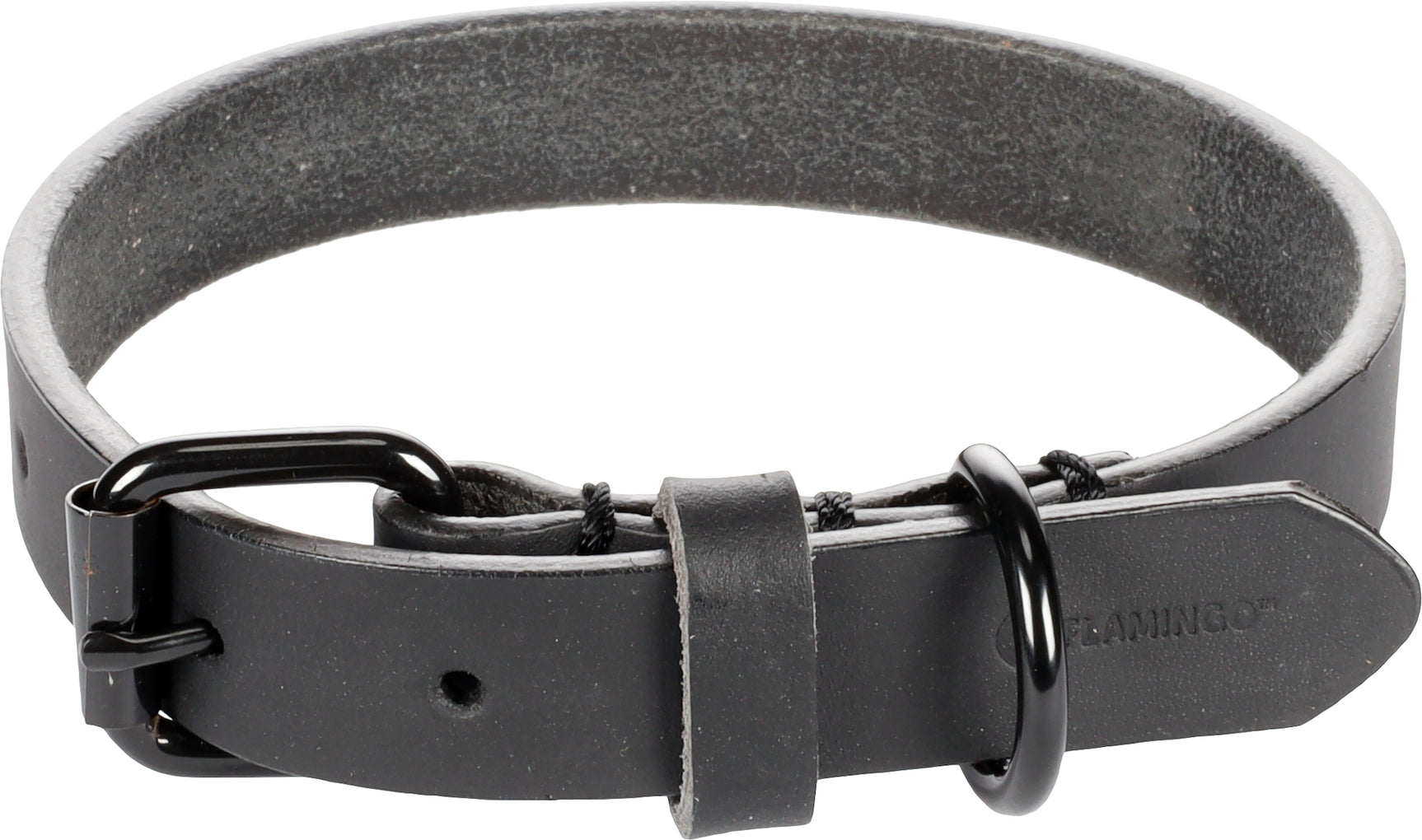 Zwarte lederen halsband met gespsluiting en ringetjes