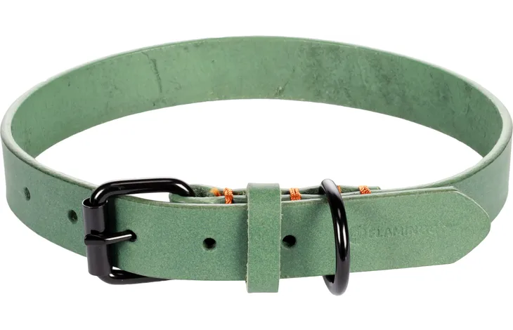 Flamingo leren halsband in groen met gespsluiting en D-ring