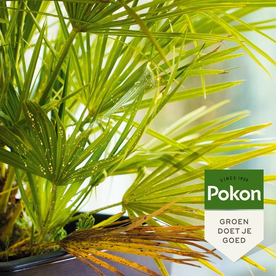 Pokon - Bio Tegen Hardnekkige Insecten Polysect Concentraat 175ml
