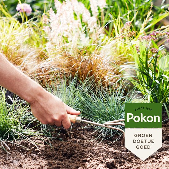 Pokon - Siergrassen & Bamboe Mest 1 kilo voor 120 dagen extra voeding