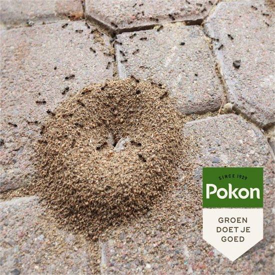 Pokon mierenkorrels op straat tussen stenen, met groene Pokon-sticker