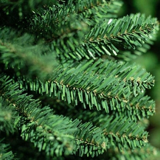 Groene dennennaalden van een smalle kunstpijnboom, close-up