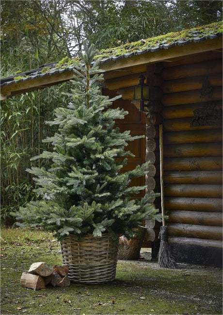 Everlands - Grandis Fir kunstkerstboom 210 cm
