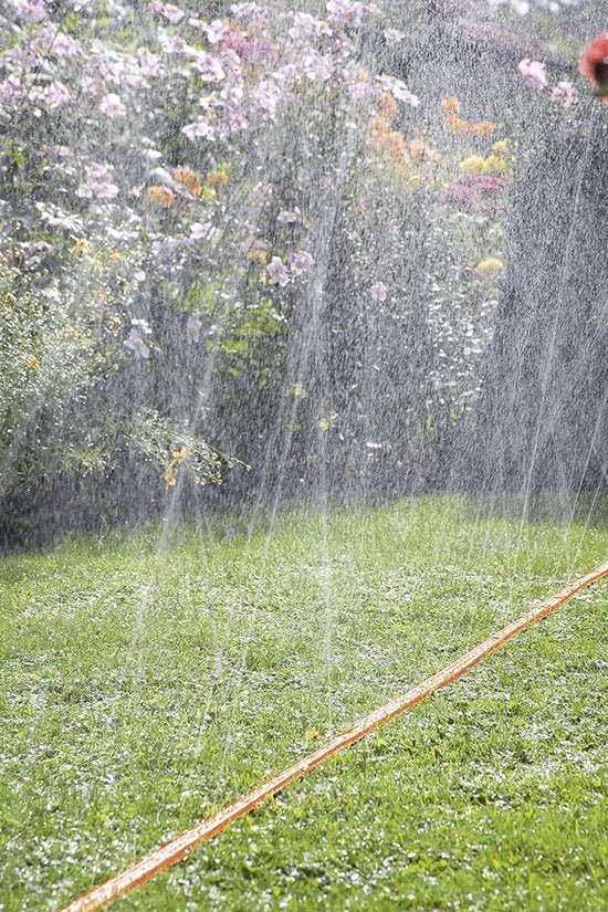 Oranje druppelslang met sproeistraal over gras en bloemen