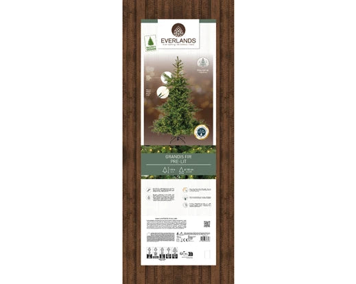 Everlands verpakkingsdoos met afbeelding van Grandis fir kerstboom