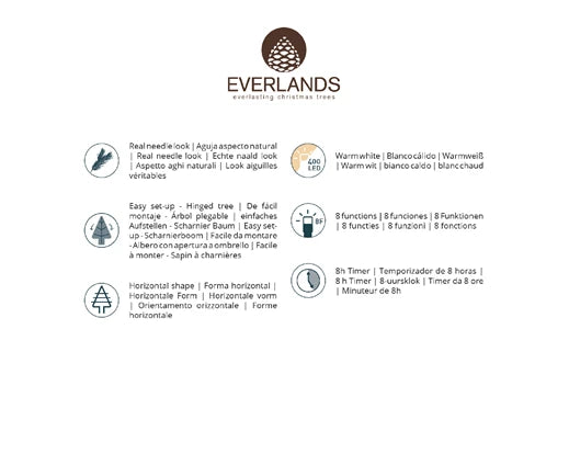 Everlands verpakkingszijde met productkenmerken voor Grandis fir kerstboom