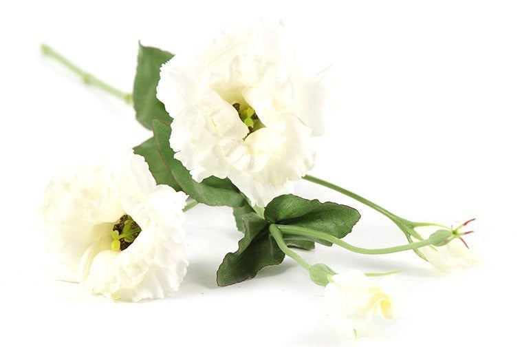 Lisianthus-bloemen met witte bloemblaadjes en groene bladeren op zijtakken