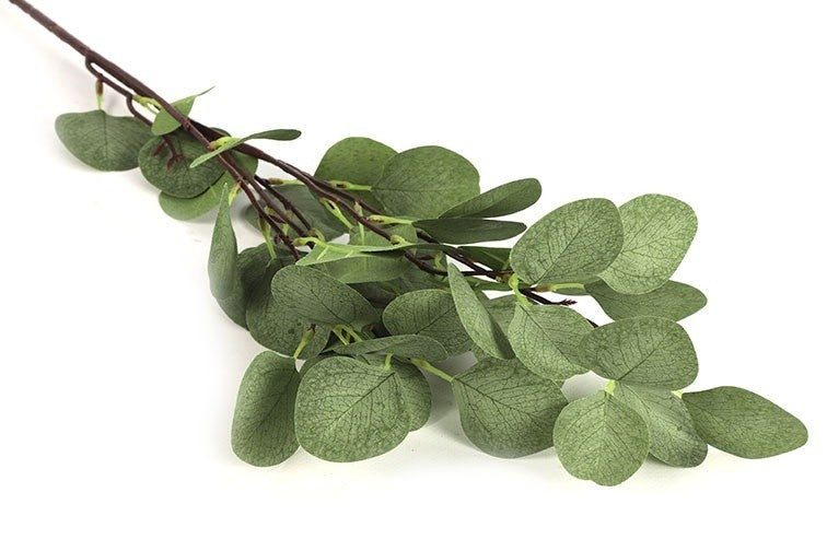 Eucalyptustak met ovale groene blaadjes en vertakte stelen