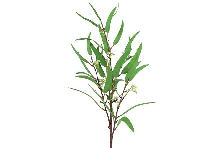 Salix M groen-L23B23H98CM