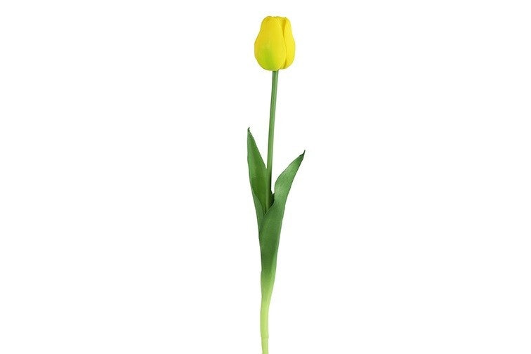 Gele tulp met groene steel en twee groene blaadjes