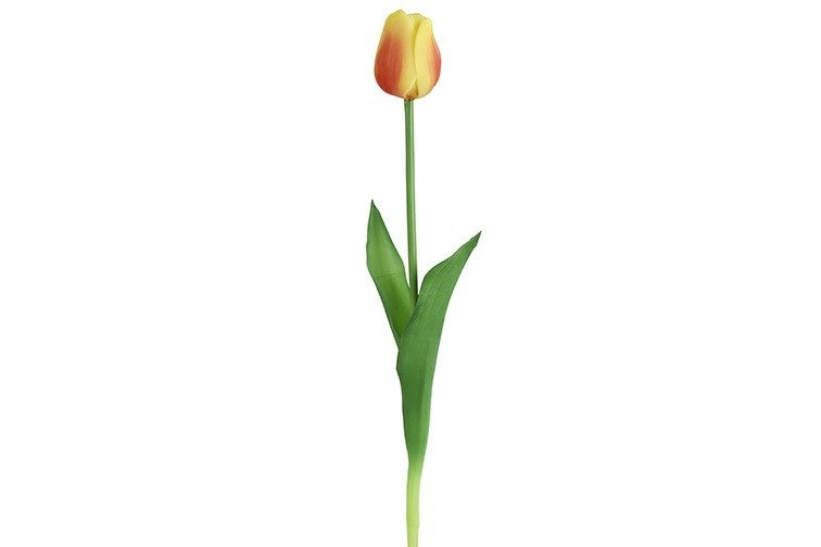 Tulpenbloem geel met fuchsia/rood, aan groene stengel en blad
