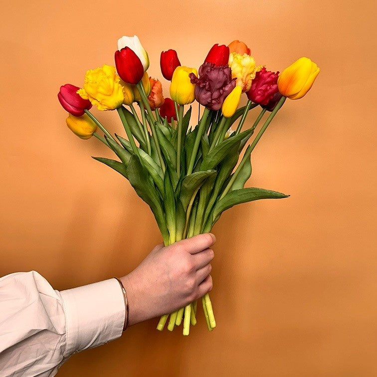 Boeket tulpen met gele, rode en paarsachtige bloemen en groene bladeren, vastgehouden