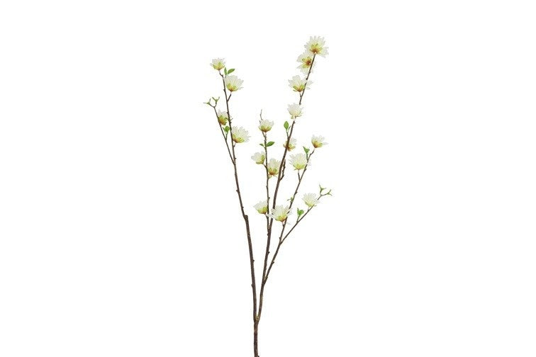 Bloementak met witte bloemetjes en groene knoppen, op bruine steel