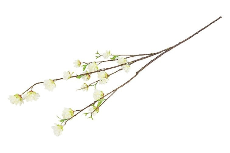 Bloementak met witte bloemen aan zijtakken, groene knoppen op bruine stelen