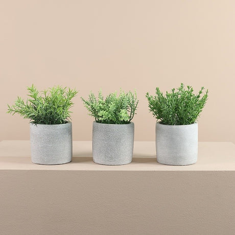 Salvia rosmarinus groen-L10B10H19CM