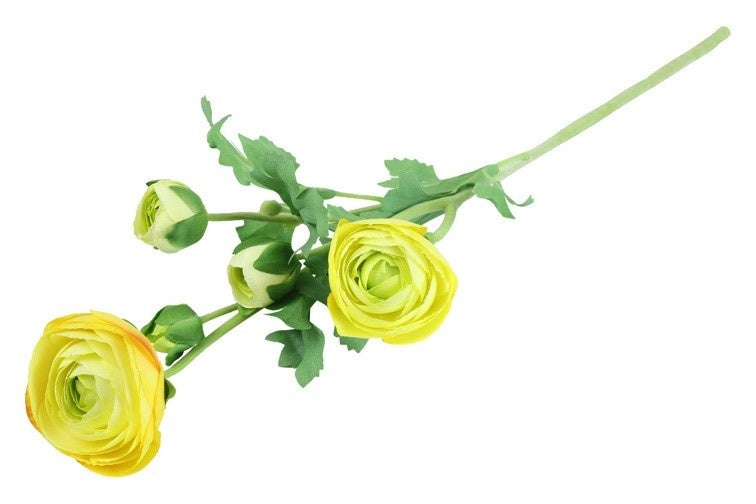Geel ranunculus takje met grote bloemen en groene bladeren, close-up