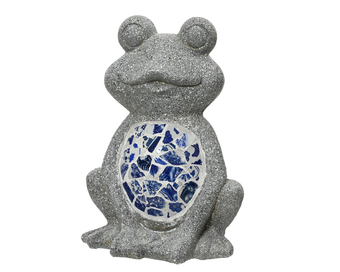 Kikker polymagnesium