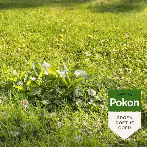 Pokon onkruidbestrijding met groen gazon en onkruidachtige sprieten
