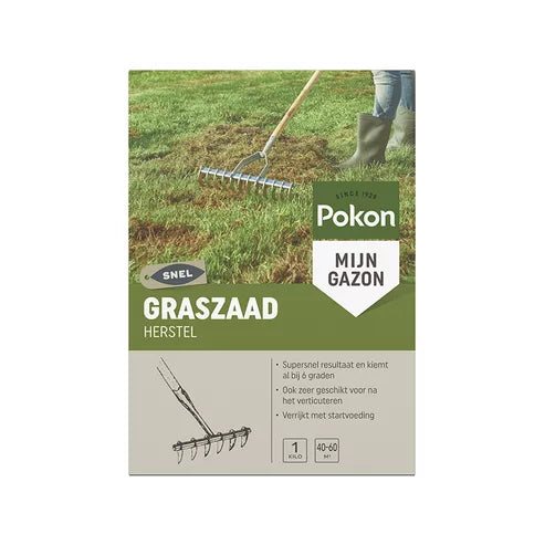 Pokon - Graszaad Herstel 1Kg