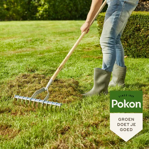 Pokon - Graszaad Herstel 1Kg