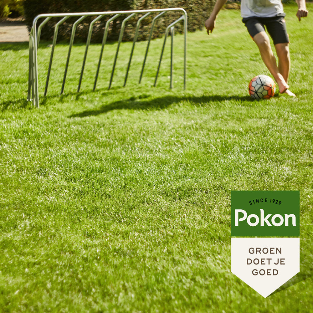 Pokon Graszaad Inzaai 250gr