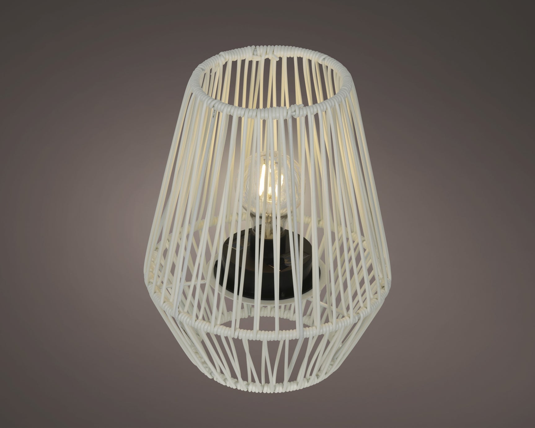 Rieten solar lantaarn met transparante kooi en warm brandend licht