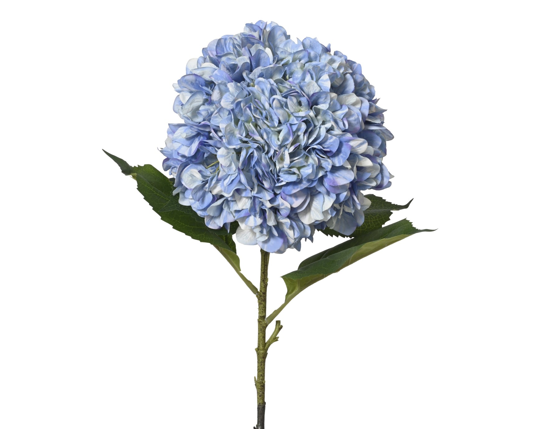 Hortensia polyester