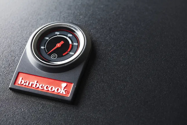 Barbecook - Spring 3212 gasbarbecue met zijbrander 133x57x115cm