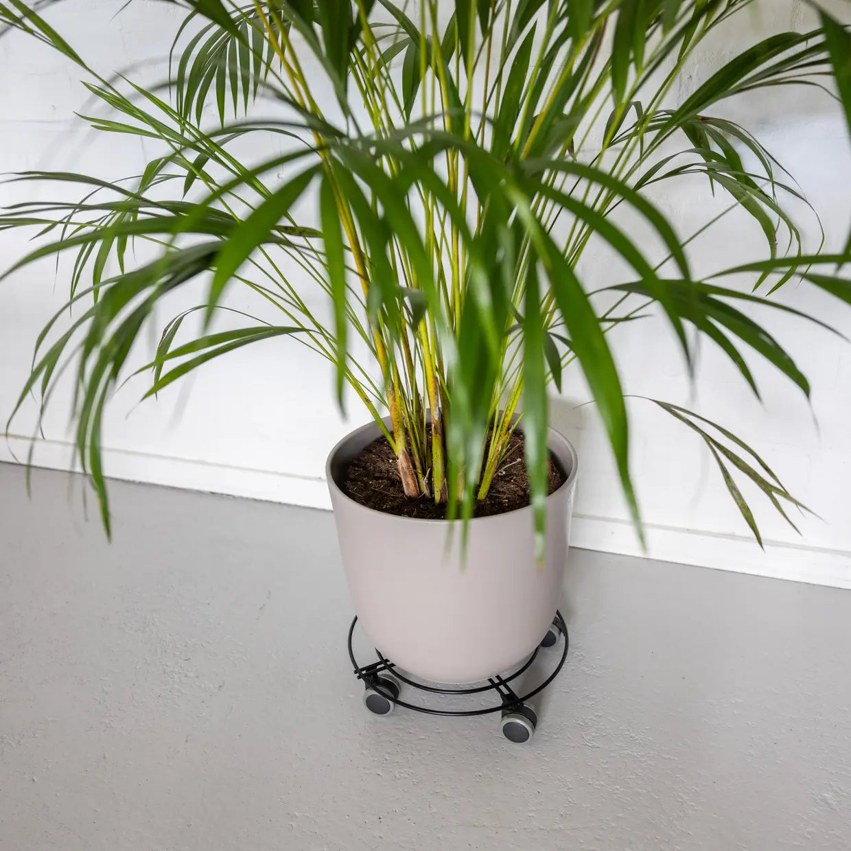 Metalen plant trolley maat S - indoor