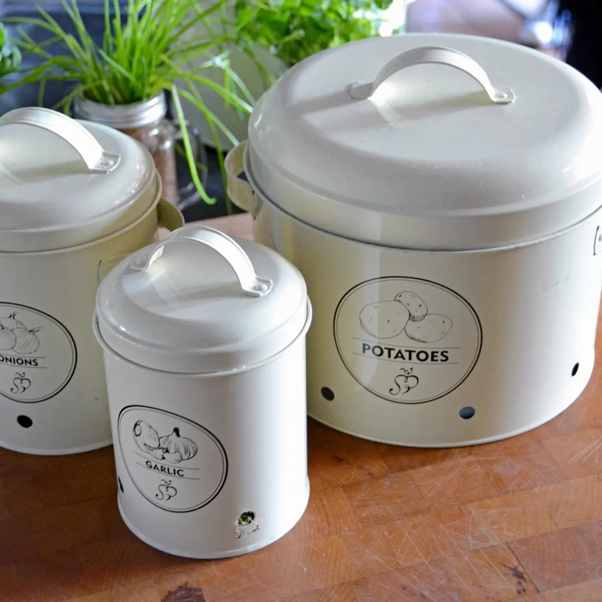 Voorraadblik voor aardappels créme - Esschert design
