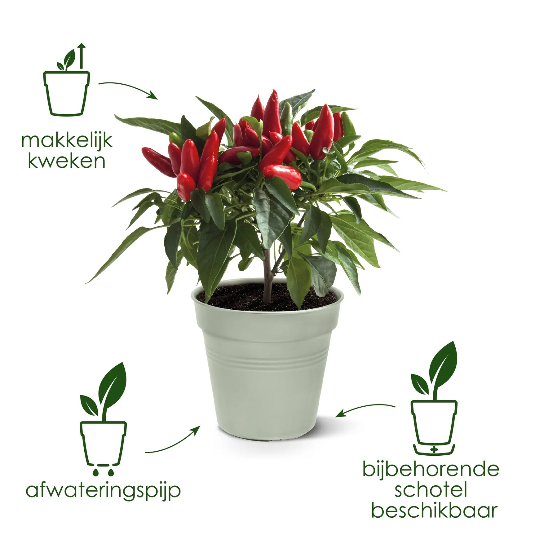 Elho - gb growpot 27cm living black