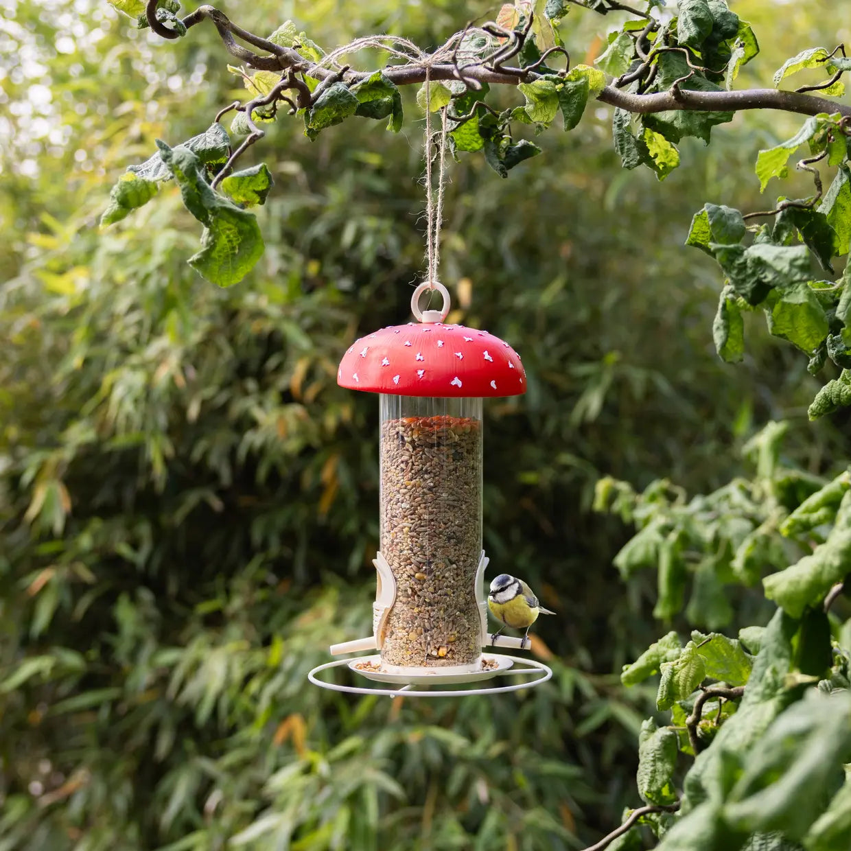 Paddenstoel voedersilo met rode dop en ronde schotel, hangend in de tuin.