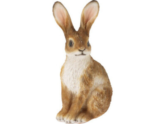 Konijn voor buiten, 2 assorti,