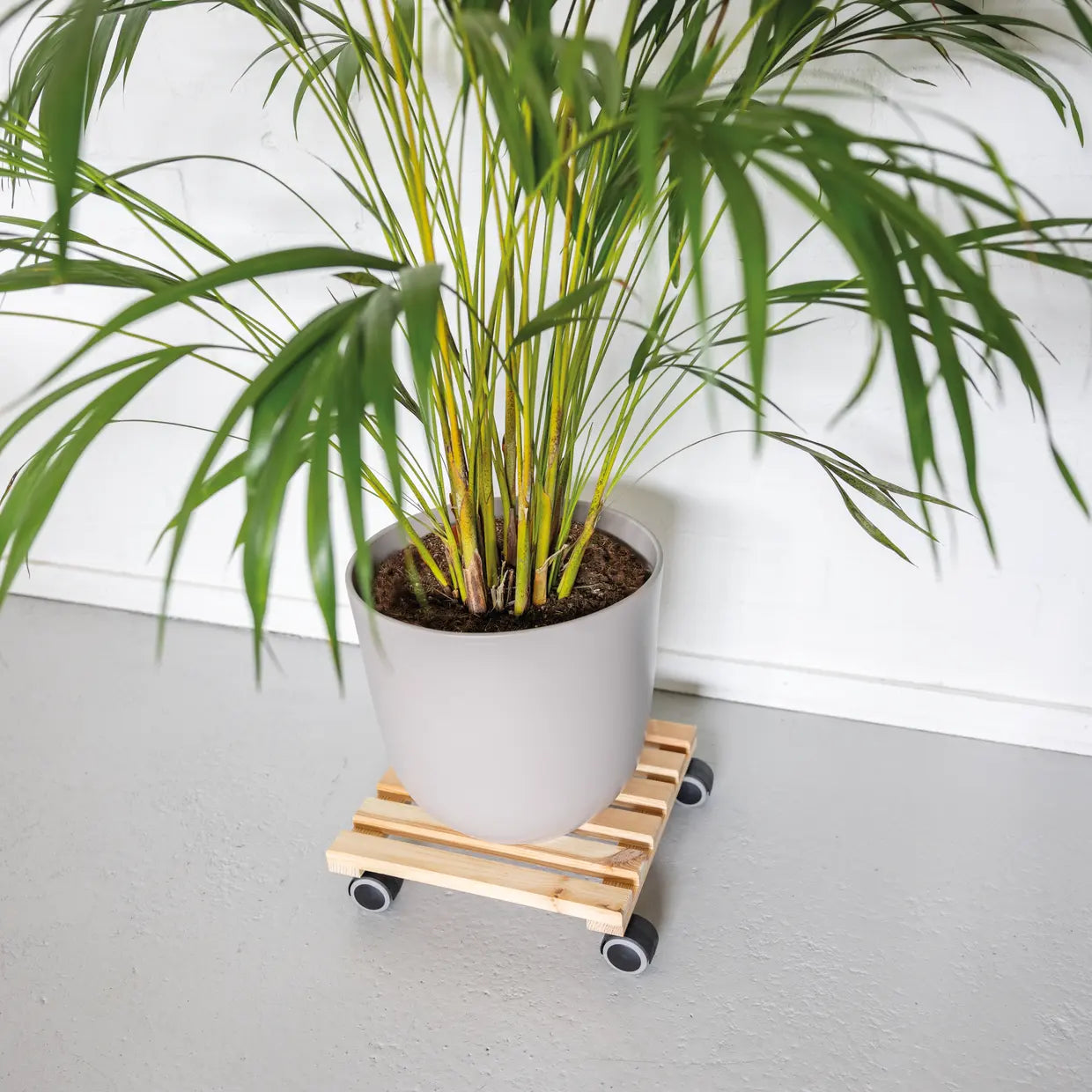 Plantentrolley naturel vierkant indoor L - Esschert Design