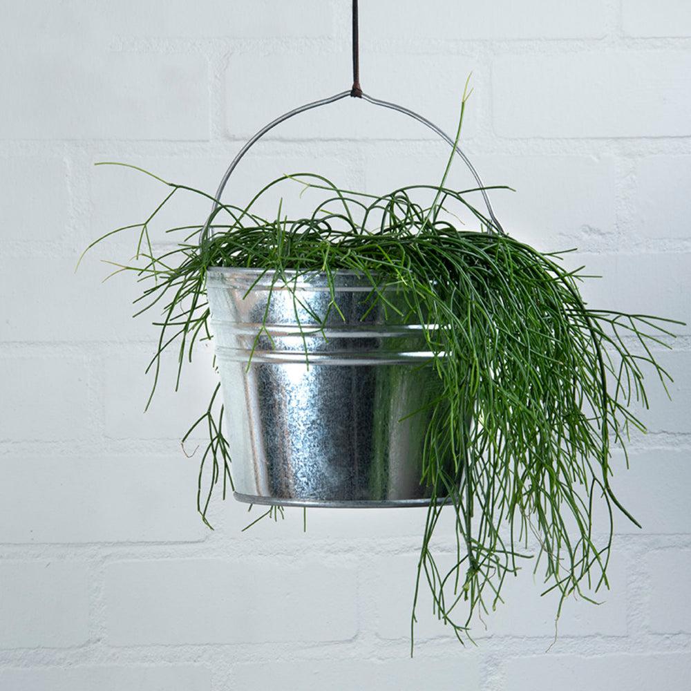 Esschert design - Zinken emmer S
