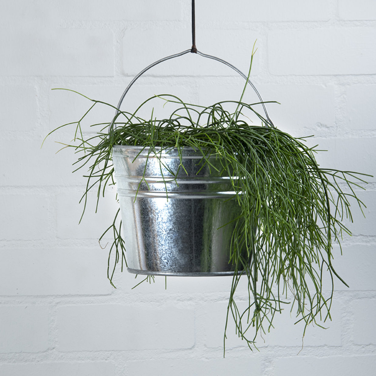 Esschert design - Zinken emmer S