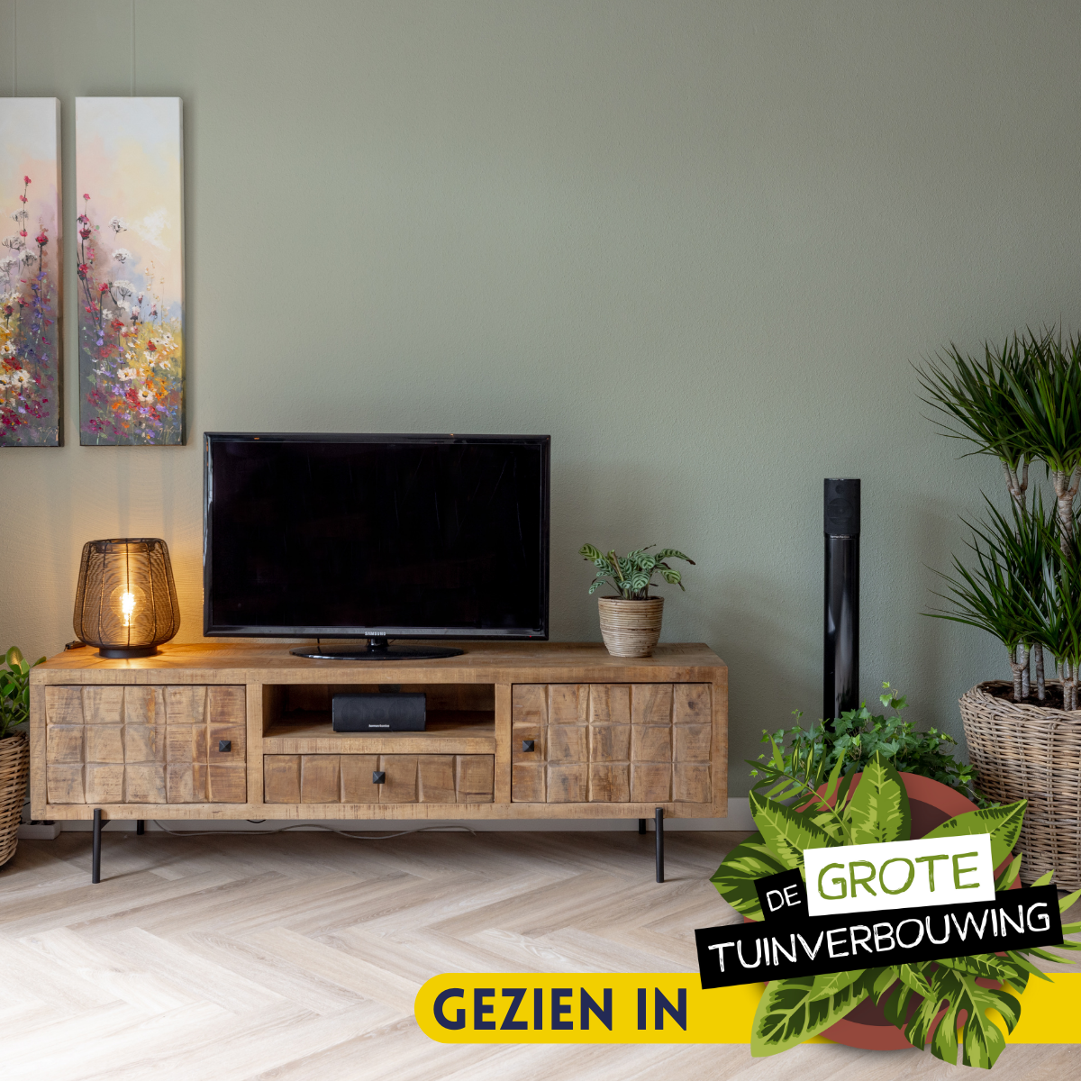 tv-meubel Brandy met tv-vak en 2 laden, massief houten look