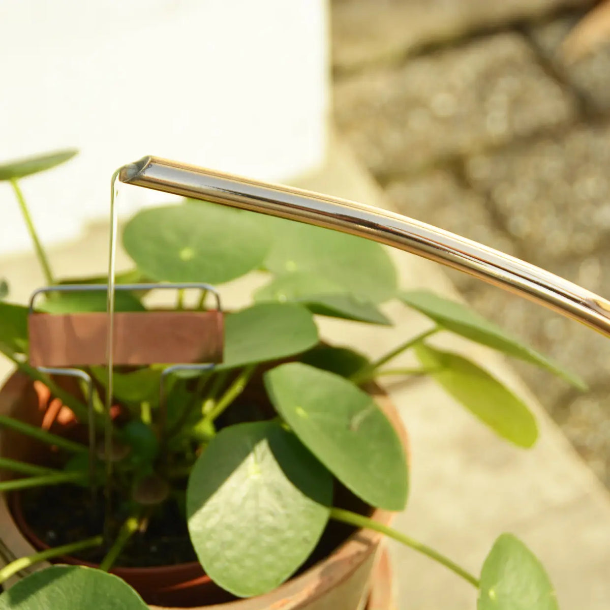 Esschert design - Plantengieter goud 1 liter