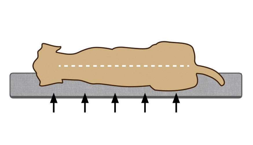 Orthopedisch hondenkussen met opwaartse ondersteuning (illustratie)