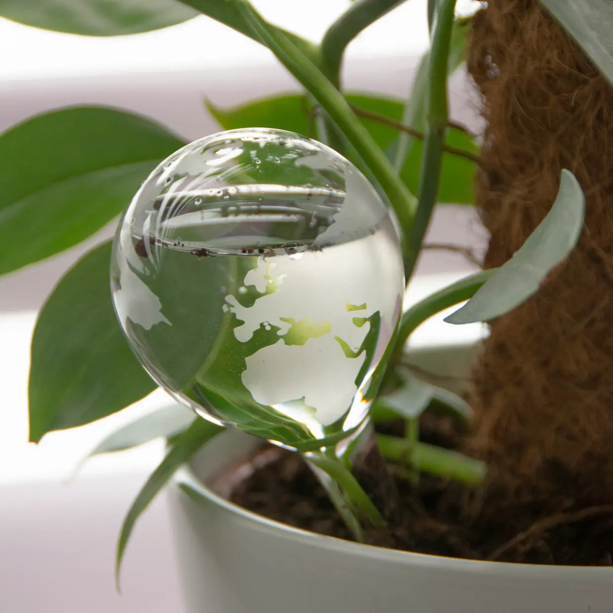 Glazen bewateringsbol globe 175ml - Esschert design