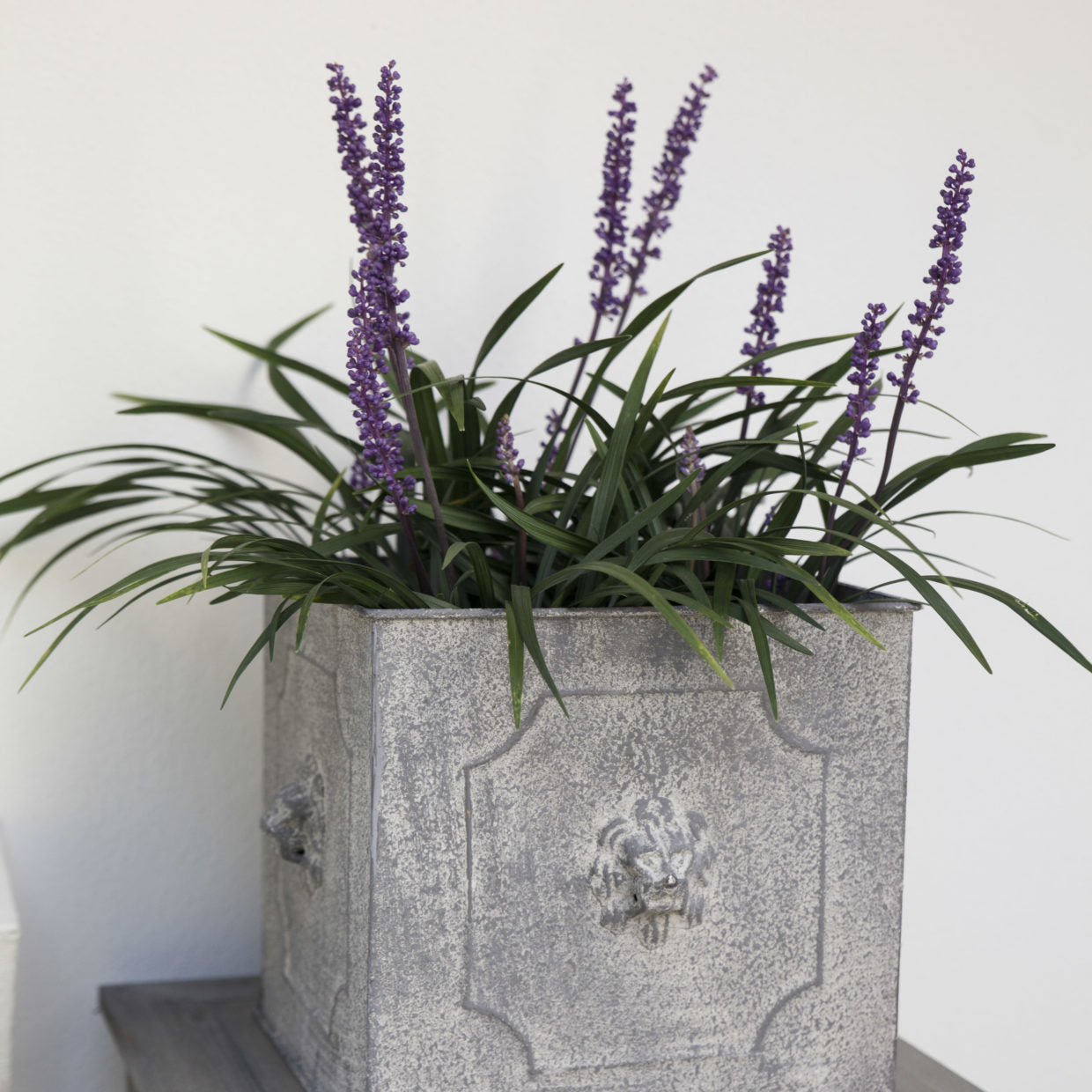 Esschert design - Aged Metal bloempot Leeuw vierkant set van 2