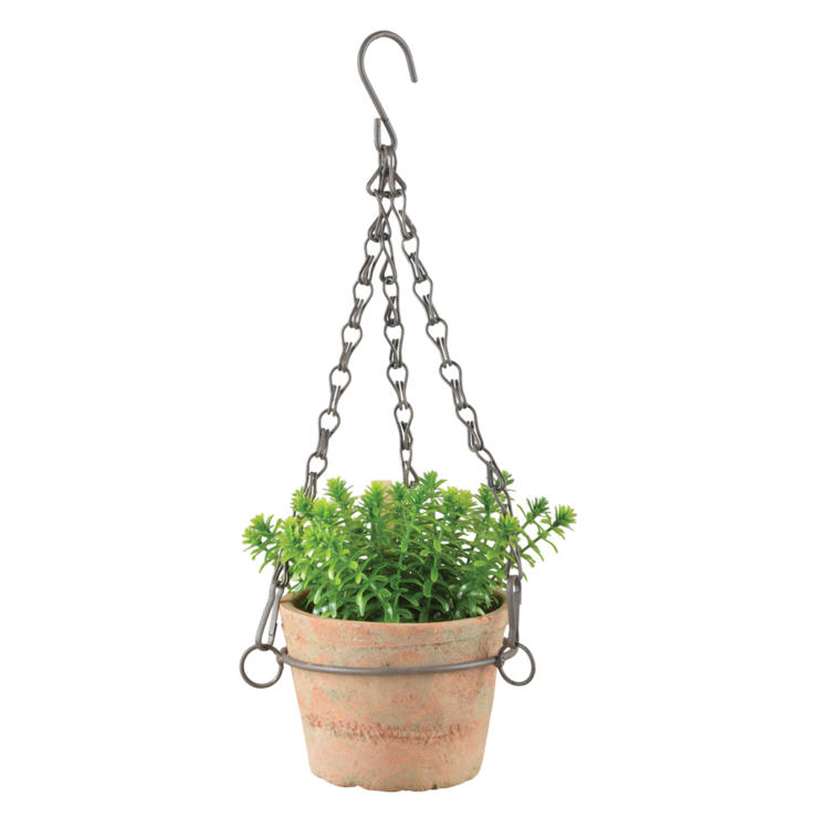 Hangende terracottakleurige pot met metalen ketting en S-haak, met groene plant